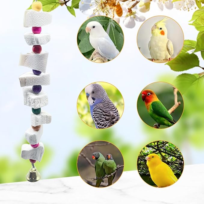 2 Pack Bird Toys, Parakeet Toys with Cuttlebone, Natural Cuttle Bone Bird Beak Grinding Stone & Parrot Chew Cuttlebone Cage Accessories with Bell for Budgie, Conure, Lovebird- 8 Pieces