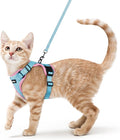 rabbitgoo Cat Harness and Leash for Walking, Escape Proof Soft Adjustable Vest Harnesses for Cats, Easy Control Breathable Reflective Strips Jacket, Light Blue&Pink, S