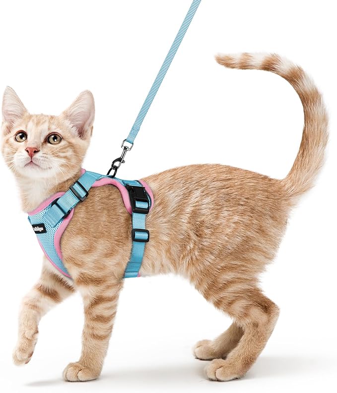 rabbitgoo Cat Harness and Leash for Walking, Escape Proof Soft Adjustable Vest Harnesses for Cats, Easy Control Breathable Reflective Strips Jacket, Light Blue&Pink, S