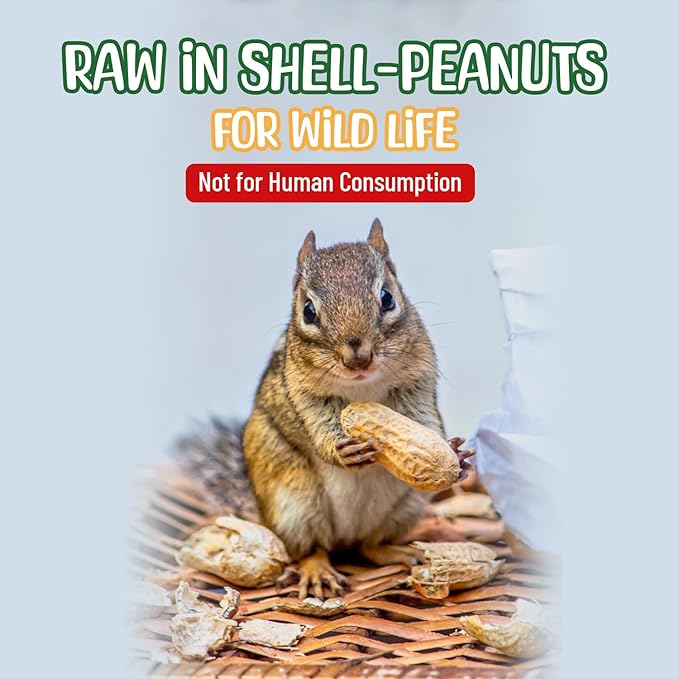 Premium Quality Raw Peanuts in Shell - 1 Pounds – All-Natural Food for Squirrels, Deer, Birds, and Other Wildlife Animals – Grown in The USA for Healthy Nutrition