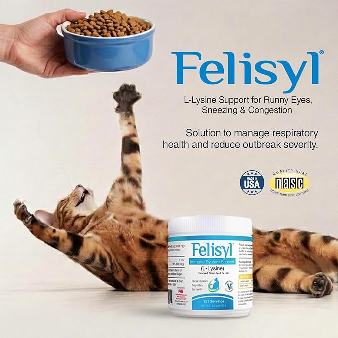 Felisyl L-Lysine Granules for Cats 100g (3.5 oz, 310 Servings) – Supports Immune, Respiratory, and Eye Health. Eases Sneezing, Runny Nose, and Watery Eyes. Tasty Salmon Flavor - Made in The USA