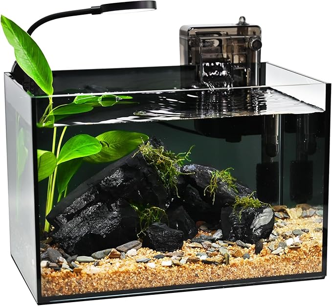 Fish Tank,2.8 Gallon Small Aquarium Kit,Glass Small Fish Tank,Betta Fish Tank with Light and Filter, Small Transparent Glass Fish Tank with Light and Filter