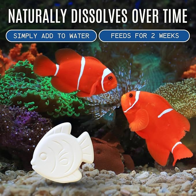Vacation Feeder for Aquarium - 14 Day Feeder Block - Slow Release Fish Food for Betta, Goldfish & Tropical Fish - Aquatic Pet Tank Food (2 Packs of 2 Blocks)