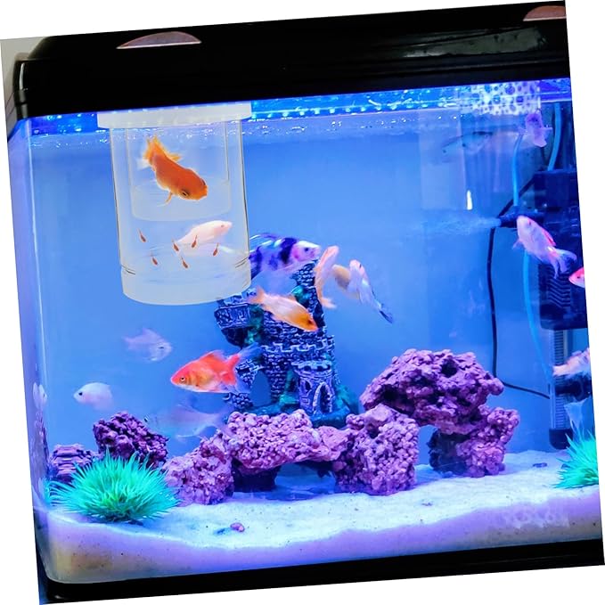 1 Set Floating Breeding Box for Guppy Betta Aquarium Incubator with Stable Water Level Secure Fry Isolation Easy Maintenance for Fish Tank Breeding