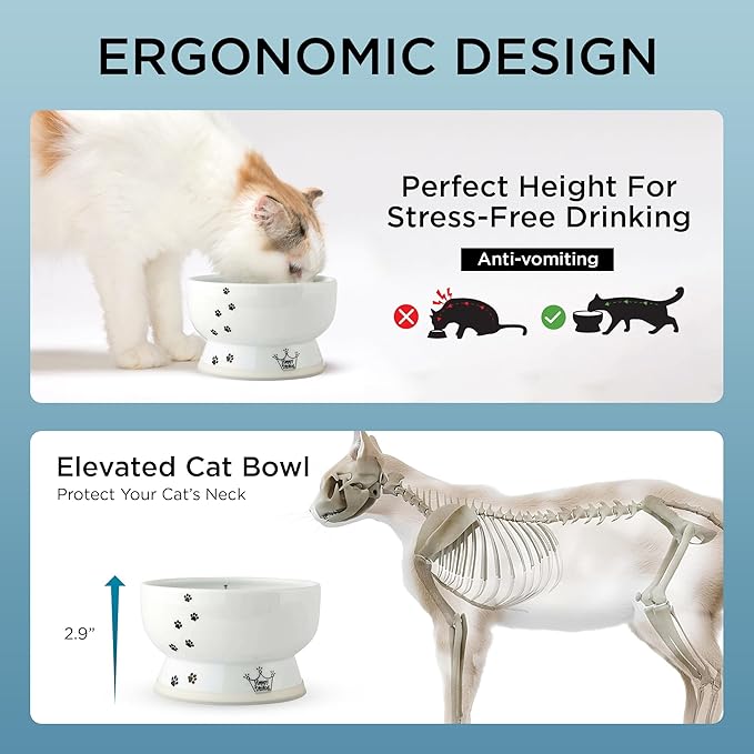 Necoichi Raised Cat Water Bowl, Elevated, with Measurement Lines, Dishwasher and Microwave Safe (Cat, Regular),White
