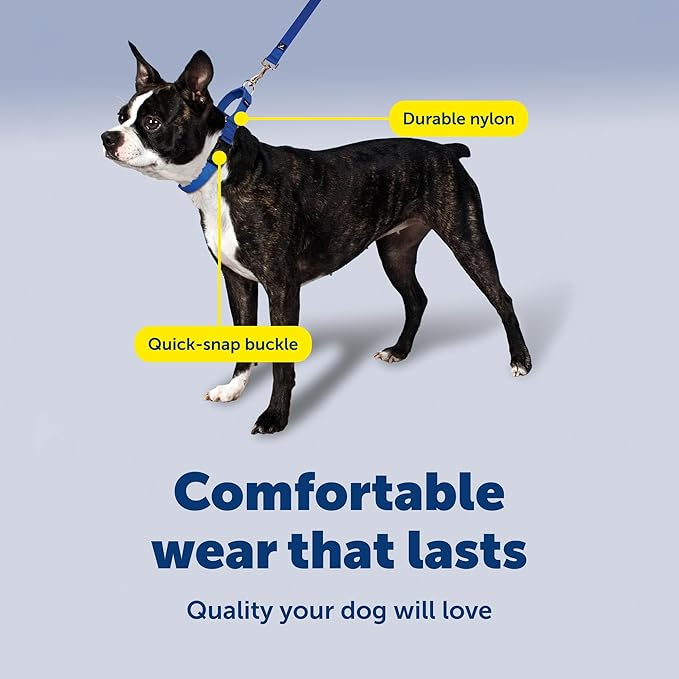 PetSafe Martingale Collar with Quick-Snap Buckle - Adjustable No-Slip Quick Release Dog Collar - Everyday Wear No-Pull Training Aid - 3/4" Wide - Medium - Deep Purple