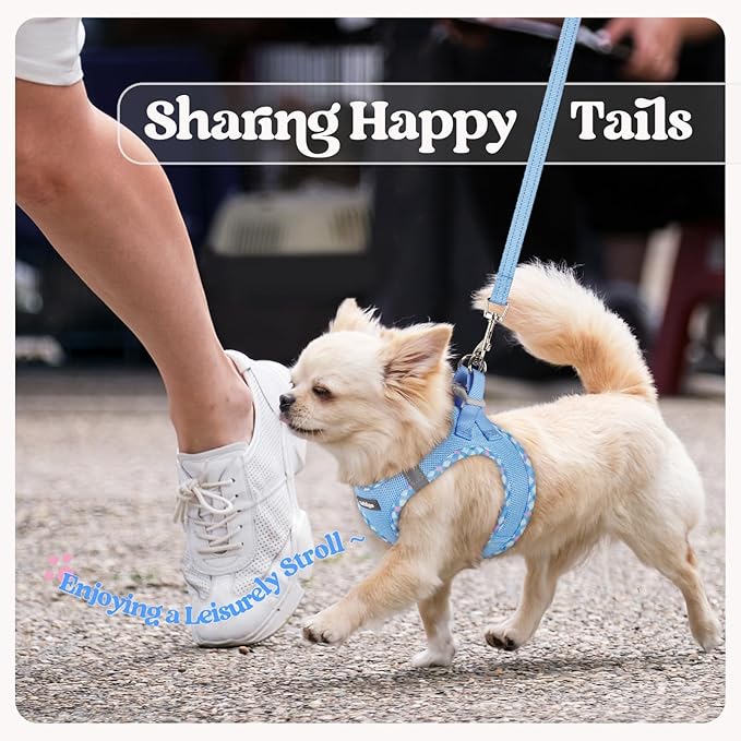 rabbitgoo Dog Harness Small Sized and Leash Set, Step in Soft Light Puppy Vest, Breathable Mesh Pet Harness, Reflective for Safe Easy Walking, Blue & Plaid Trim M