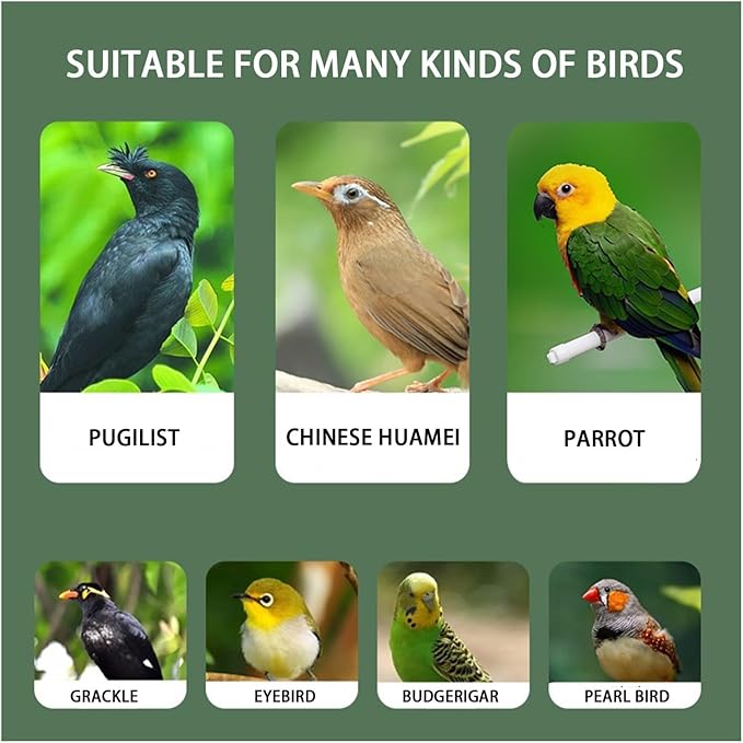 Aimery Bird Cage，Stainless Steel Birdcage，Small Bird cage，Bird Cages for Parrots，Travel Bird Cage，Bird Travel cage (Size : V34G)