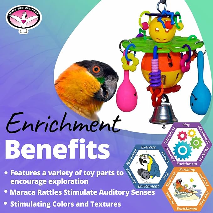 Super Bird Creations Maraca Blast for Small and Medium Size Birds