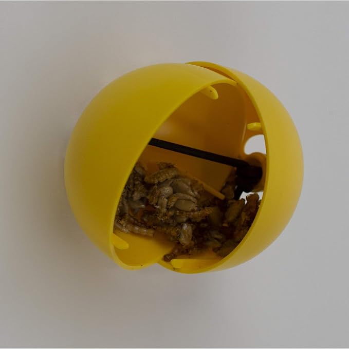 New Age Pet 7 Piece Chicken Accessory Kit