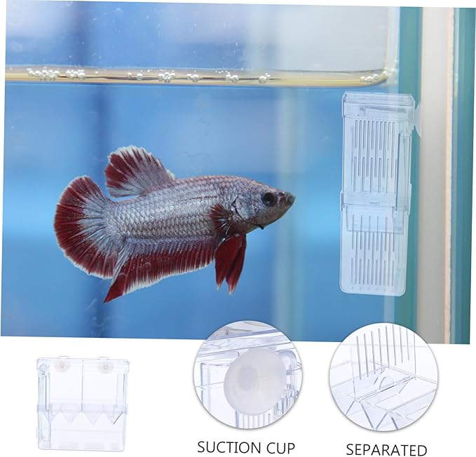 Breeding Tank Transparent Aquarium Box for Fish Hatchery Cup Isolation Box Dual Compartment Design Efficient for Fish Breeding