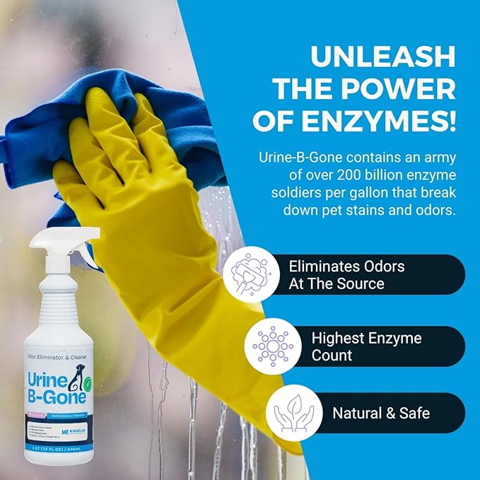 Urine B-Gone, Professional Enzyme Odor Eliminator & Pet Stain Remover, Human, Cat & Dog Urine Cleaner, Effective on Laundry, Carpets & More, Lavender Scent, 32oz