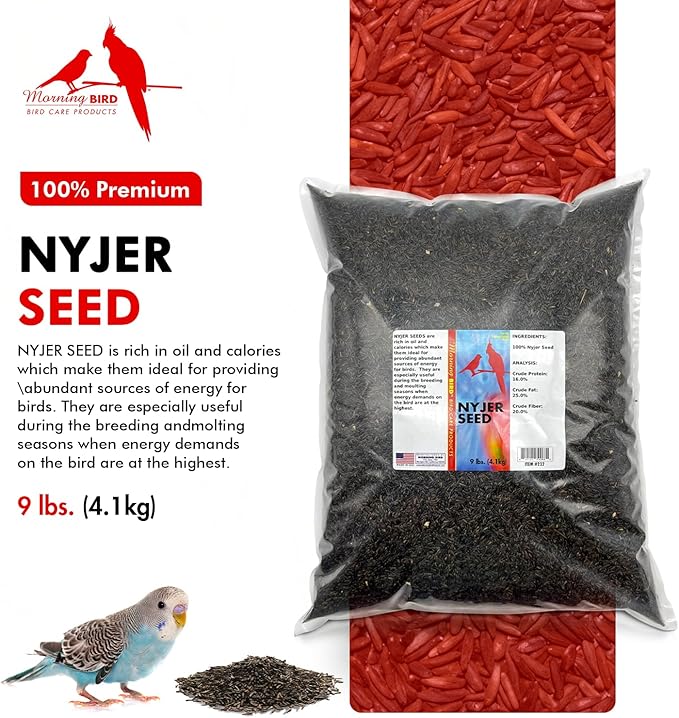 Morning Bird Nyjer Seed for Birds 9 lbs – Energizing Nutrition with Rich Natural and Healthy Fats – Ideal Bird Food for Breeding & Molting – Great for Canaries, and Other Seed-Eating All Birds