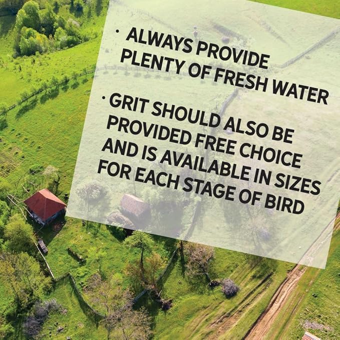 New Country Organics I Power Pellet Layer Feed 40 lbs I Layer Feed for Laying Hens I Soy-Free I 17% Protein I Certified Organic and Non-GMO I 40 lbs