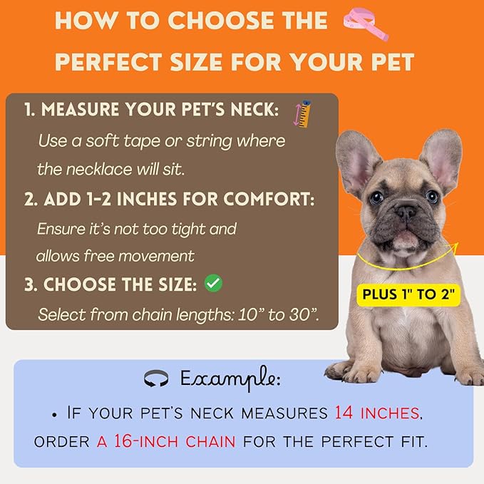 Initial Letter Cuban Chain Dog Chain Pet Chain Pet, Cat, Puppy Necklace (G, 10")