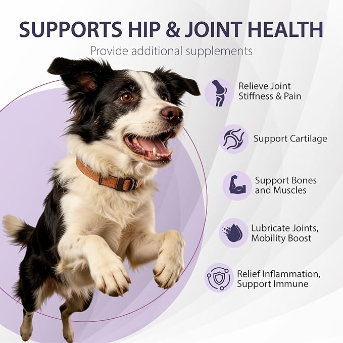 Dog Hip and Joint Supplement Chews - Dog Joint Supplement for Mobility - Canine Hip Support Pain Relief Supplements with Glucosamine, Turmeric, Chondroitin - Chicken Flavored - 150 Soft Chews