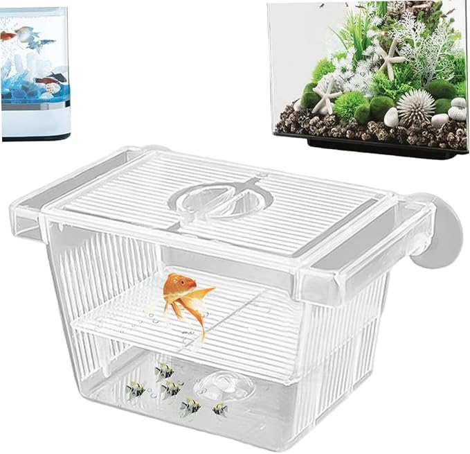 Fish Breeding Box, Transparent Insulation Breeder Box for Fish Tank, 5x3x3 Detachable Plastic Small Tank for Babies, Shrimp, Clown and Guppy