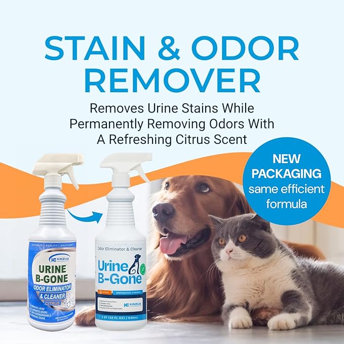 Urine B-Gone, Professional Enzyme Odor Eliminator & Pet Stain Remover, Human, Cat & Dog Urine Cleaner, Effective on Laundry, Carpets & More, Citrus Scent, 32oz