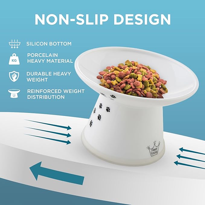 Necoichi Raised Cat Food Bowl – Ceramic Elevated Cat Bowl for Whisker & Neck Fatigue, Dishwasher Microwave Safe – Non-Slip & Anti Vomiting Ergonomic Design (Cats, Extra Wide, 2-Cups Capacity)