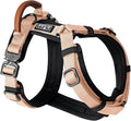 MADE TO ROAM Premium Explorer Harness - Y-Shaped Dog Harness with Adjustable Durable Nylon, Soft Padding, Metal Buckles and Leather Handle for Small, Medium, Large Dogs (Carolina Blooms, Size 5)