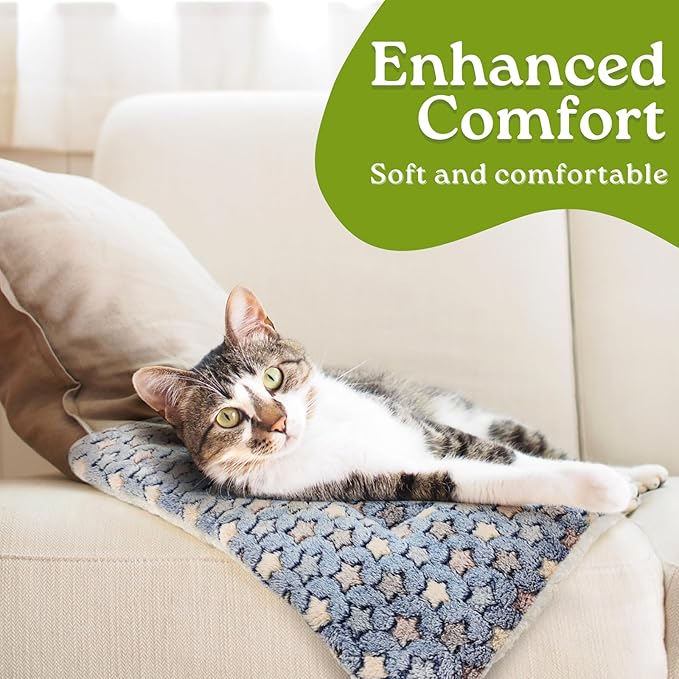 2 Pack Cat Blankets for Indoor Cats, Ultra Soft Reversible Mat, Fluffy Flannel Blanket for Small Dogs and Cats, Washable Pet Pad