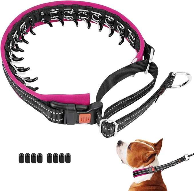Mayerzon Martingale No Pull Collar for Small Medium Dogs, Patented Anti Pull Dog Collar with Buckle for Walking Training, with Neoprene Padding and Reflective Stitching, Adjustable(Hot Pink Trim, S)