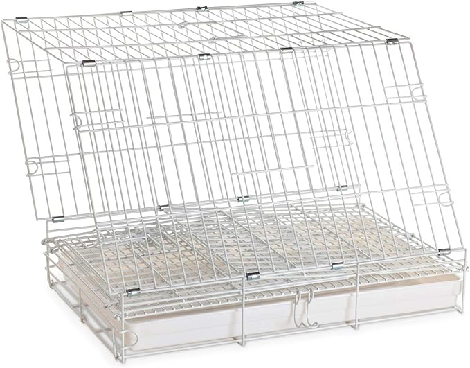 Travel and Vet Bird Parrot Beaks Proof Metal Cage Carrier Easy Foldable Clean with Stainless Bowls and Wooden Stand Perch