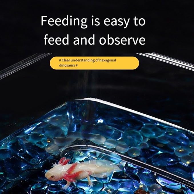 Transparent Acrylic Fish Tanks Large Capacity Aquarium for for Axolotls, Newts Clear Acrylic Aquarium Tanks, 36*25*15.5cm, as the pic show