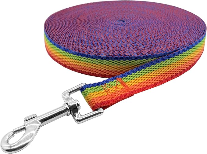 Nylon Training Dog Leash for Small Medium Large Dogs, 15ft 20ft 30ft 50ft Long Leash Dog/Puppy Lead for Obedience Recall Training, Camping (1" x 20ft, Rainbow)