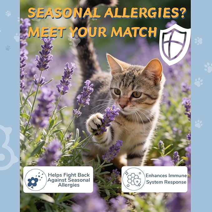 L-Lysine Supplement for Cats - Vitamins & Taurine for Immune Support & Allergy Relief - Lysine for Respiratory, Sneezing, Runny Nose, Eye Function - Natural Cat Antibiotic Drops - 60ML Slamon Flavor