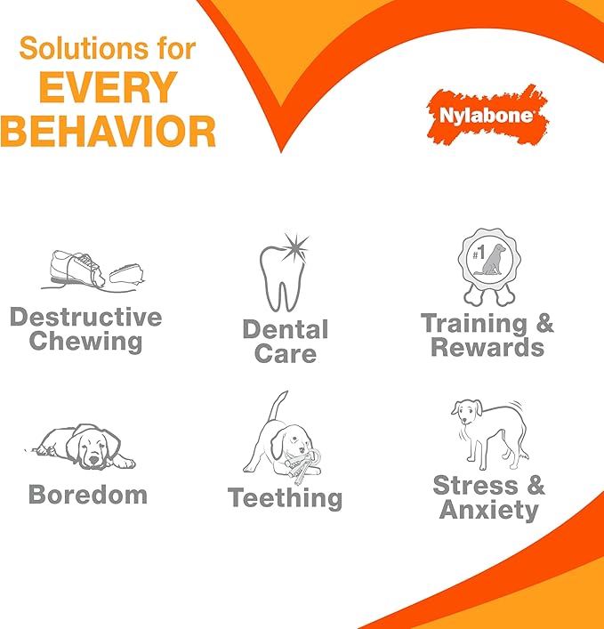 Nylabone Original Bone Power Chew Toy for Dogs, Durable & Tough Dog Toys for Aggressive Chewers, Chicken Flavor, Medium - Up to 35 lbs, 1 Count