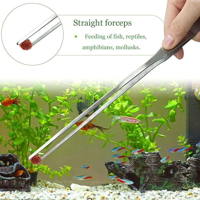 2 Pcs Feeding Tongs, Aquarium Tweezers Stainless Steel Straight and Curved Tweezers Set 27cm/10.6 inches Aquascaping Tools for Hold Worms, Reptiles, Lizards, Bearded Dragon (Silver)