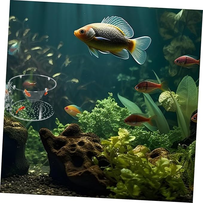 BESPORTBLE Fish Breeder Box Fish Breeding Tank for Isolation Lightweight Portable Aquarium Divider for Betta and Shrimp Easy to Install Design