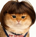 Cat Wig for cat only– Small Size for Tiny Animals Such as Goose Duck and Chicken DIY Haircut & Adjustable Fit – Cat & Dog Costume for Halloween, Party, Photo Shoots