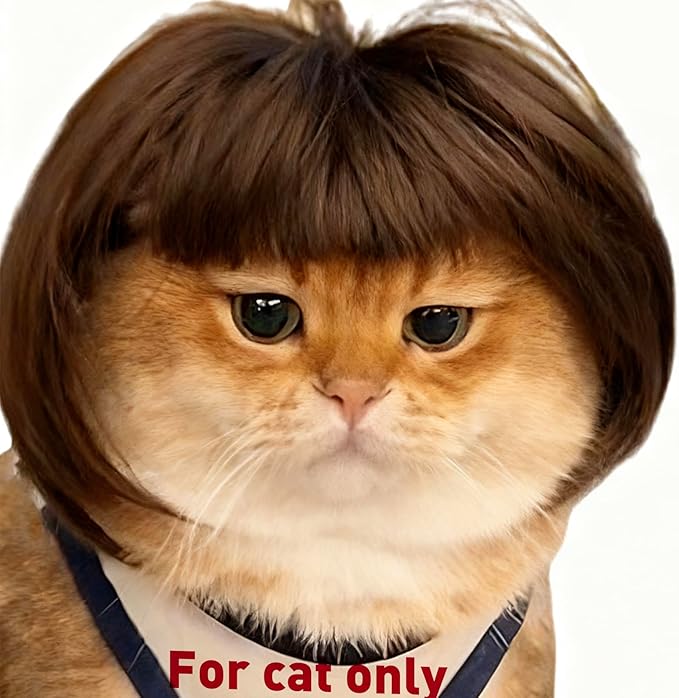 Cat Wig for cat only– Small Size for Tiny Animals Such as Goose Duck and Chicken DIY Haircut & Adjustable Fit – Cat & Dog Costume for Halloween, Party, Photo Shoots