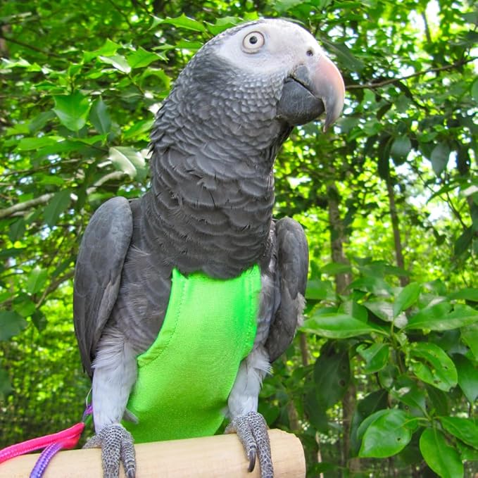Avian Fashions FeatherWear FlightSuit Custom Wide(7.5) Bird Diaper in Lime Green