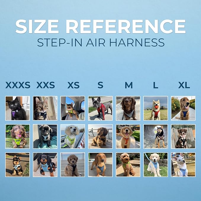 Best Pet Supplies Voyager Step-in Air Harness - All Weather Mesh, Reflective, No Pull Harness for Dogs, Cats - Secure with Hook & Loop Fastener, Buckle, Double D-Rings - Fuchsia, XL