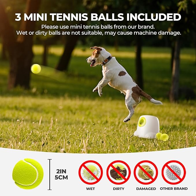 ALL FOR PAWS Automatic Ball Launcher for Dogs Interactive Puppy Pet Ball Indoor Thrower Fetch Machine, 3 Balls Included (2 inch) + Six Tennis Balls Bundle