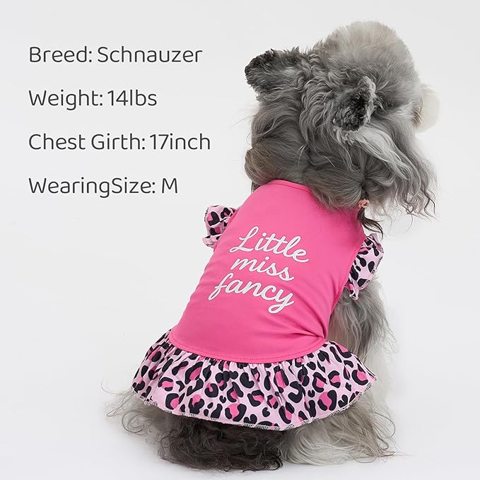XPUDAC 4 Pack Cute Dog Dress for Small Dog, Floral Pet Clothes Sweet Girl Puppy Dress Colorful for Birthday Holiday Spring Summer Pet Outfits Skirt for Girls, L