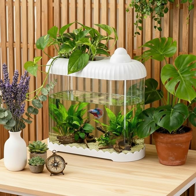 Geelin White 2.5 Gallon Plastic Aquaponic Betta Fish Tank Large Bowl Shatterproof Small Ecosystem Aquarium with Secure Buckle Lid, Clear Clarity for Terrarium, Flower Vase Betta Fish Tabletop Gifts