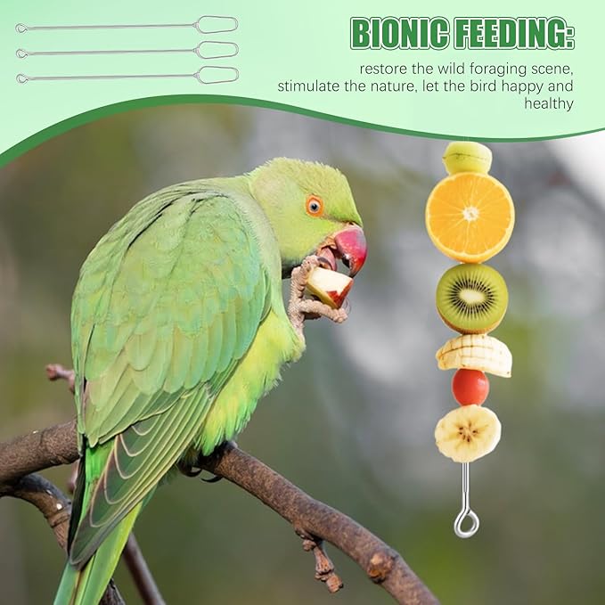 3 Pcs Fruit Vegetable Bird Cage Feeder, Toys for Parakeets, Cockatiels, Conures and Small Animals, Bird Cage Accessories with Stainless Steel