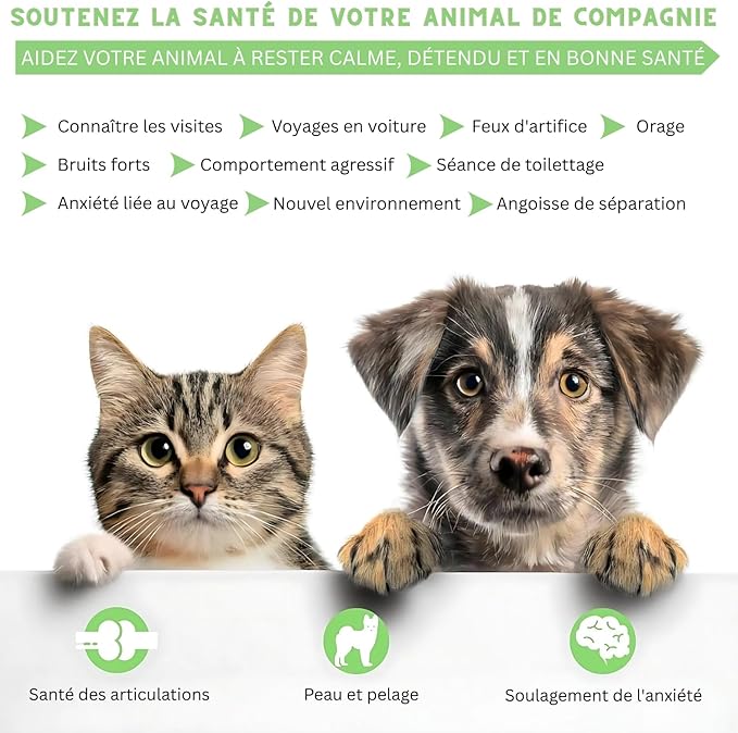 Hemp Oil for Dogs and Cats – Helps with Skin, Coat & Health – Premium Fish Oil Blend – Improves Immune System & Нiр Jоint Hеalth - Natural Ingredients - Made in USA (1oz) (Pack of 1)