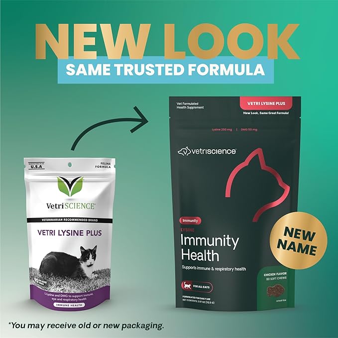 VetriScience Lysine Immunity Health Chews, 250 mg Lysine Plus Immune Supplement for Cats and Kittens with Allergies, Sneezing, Runny Nose and Watery Eyes, Chicken, 3 Pack