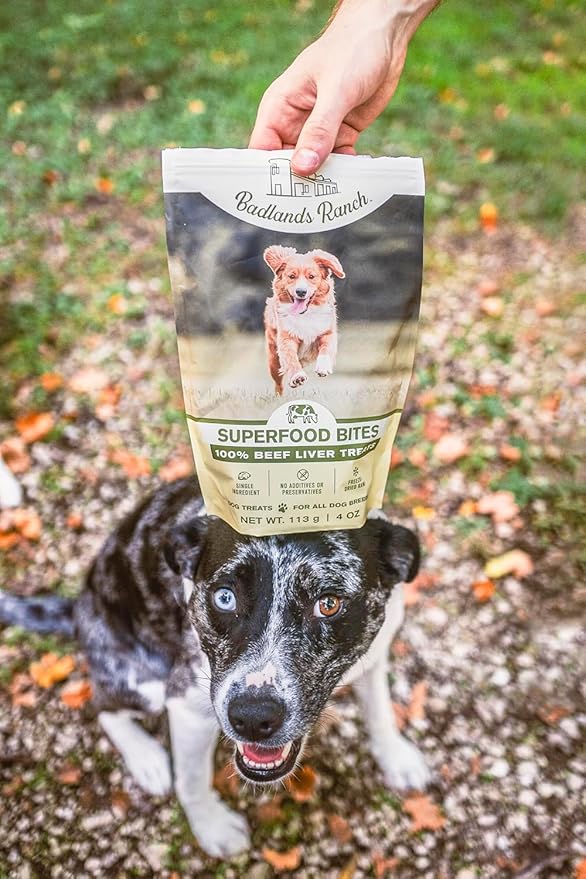BADLANDS RANCH by Katherine Heigl – Superfood Bite Freeze-Dried Raw Beef Liver Dog Treats – High Protein Single-Ingredient Snacks for Training, Rewards & Daily Wellness – 4 oz (Pack of 4)