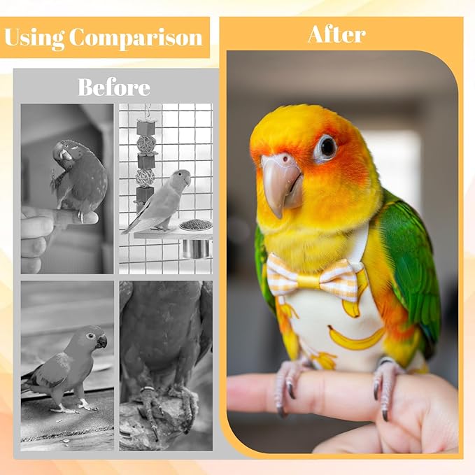 6Pcs Bird Diaper, Reusable Parrot Diapers with Waterproof Inner - Washable Pet Bird Diapers for Cockatiel Budgie Lovebird Parakeet Canary Monk (Medium)