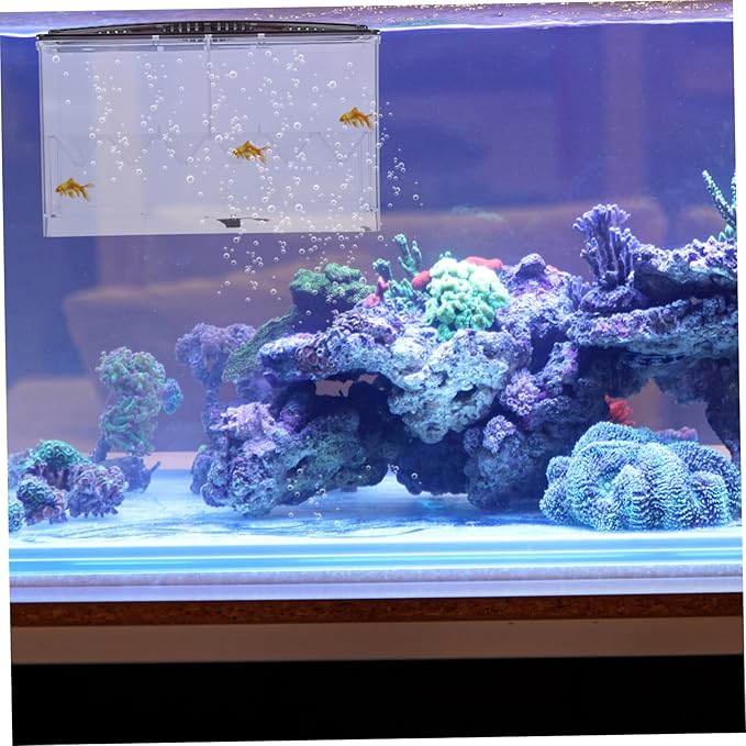 BESPORTBLE Acrylic Aquarium Breeding Box Fish Tank Isolator Multi-Function Incubation Case