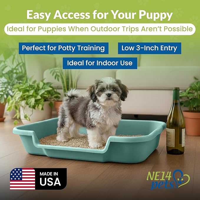 Dog Litter Box, Apple Green Color, Large Size, Durable & Pet Safe Puppy Litter Box, Indoor Open Top Entry Dog Litter Pan, Comfortable for Dogs, Great for Dogs up to 20 lbs (2 Pack)
