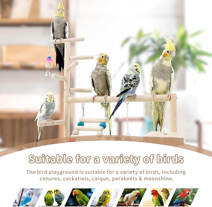 Bird Playstand Cockatiels Playground Perch Stand Parrot Play Gym for Parakeets Conures Parrotlets and Finches, Easy Assembly Includes Colorful Toys and Perch 1Ladder with Platform