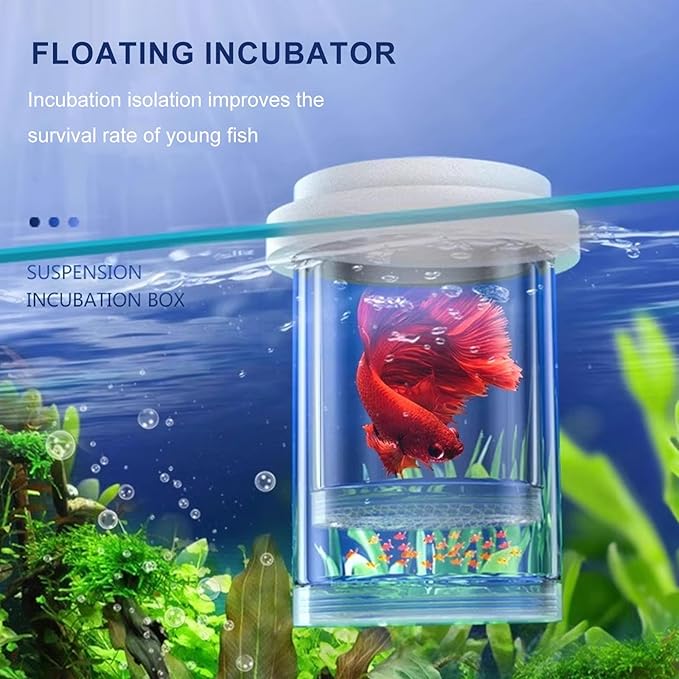 Aquariums Breeding Box Hatchery Shelter House for Guppy Bettafish Clownfishs with Divider Design Floating House 3PCS Bettafish Nursery Tanks