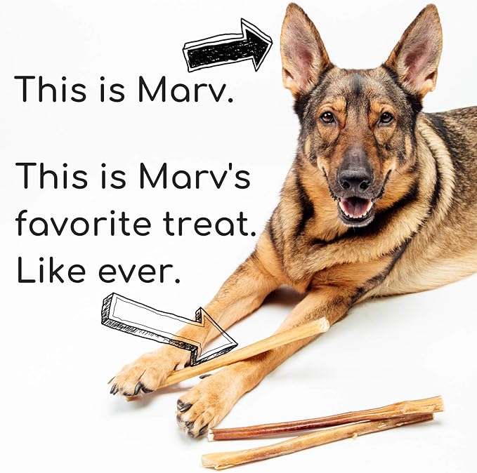 Best For My Pets 12‑Inch Odor‑Free 100% Beef Bully Sticks, 8 oz Bag – Long‑Lasting Single‑Ingredient Dental Dog Chews for Medium & Large Breeds, USA‑Inspected Rawhide Alternative